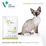 Recovery Katze 100g – Bild 2
