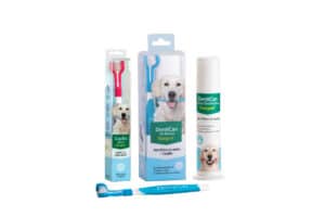 Dentican Dental Kit