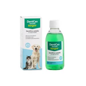 Stangest – DENTICAN Lösliches Mundwasser