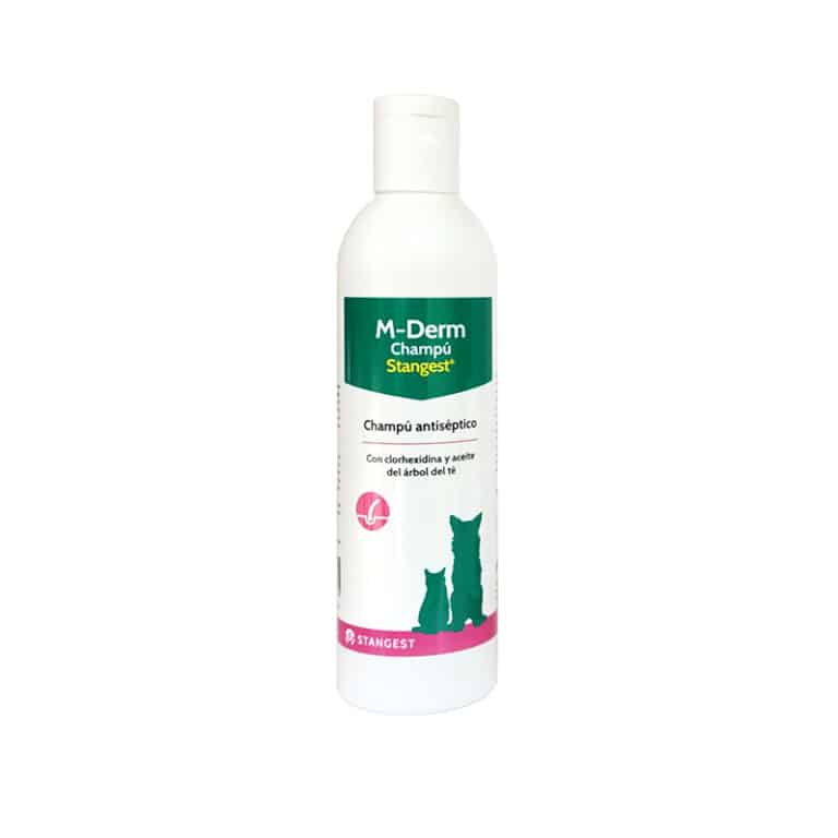 Stangest – M-DERM SHAMPOO - 250ml 